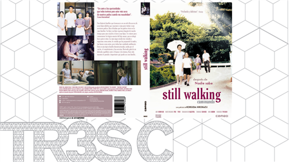 Still Walking