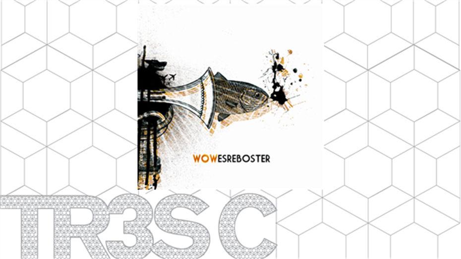 Wow - Es Reboster