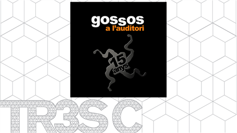 15 anys a l'auditori - Gossos