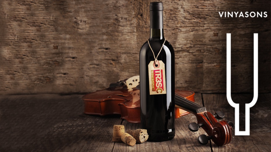 Vinyasons 2013. Festival de música als cellers