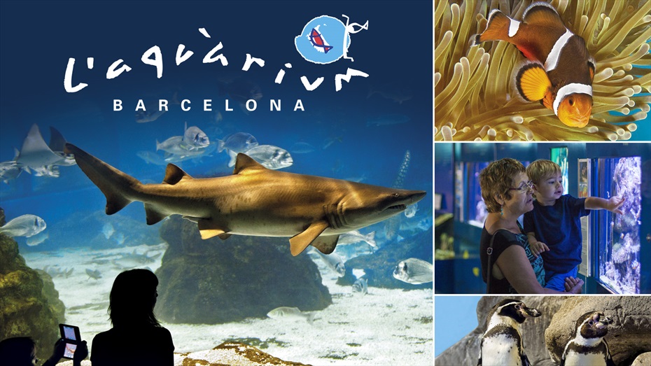 Sorteig Family pack Aquàrium de Barcelona