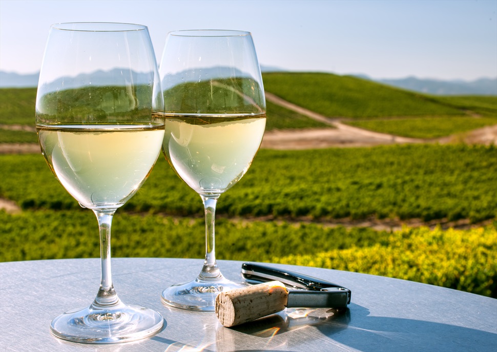 Blancs del món: Riesling, Chardonnay, Sauvignon