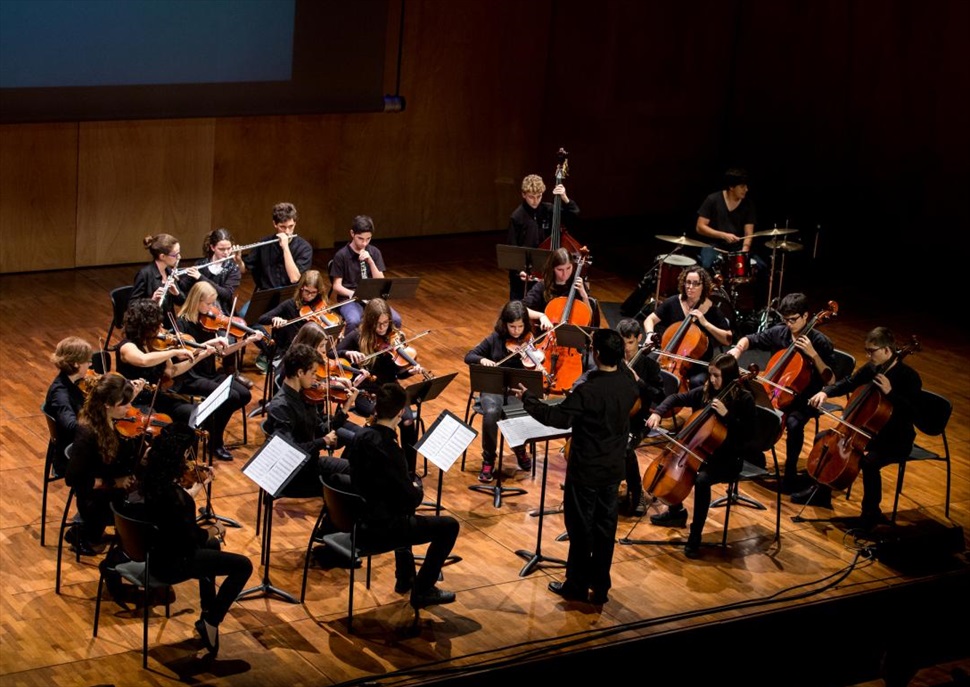 La Simfonia pastoral de Beethoven - Orquestra de Cambra del Penedès