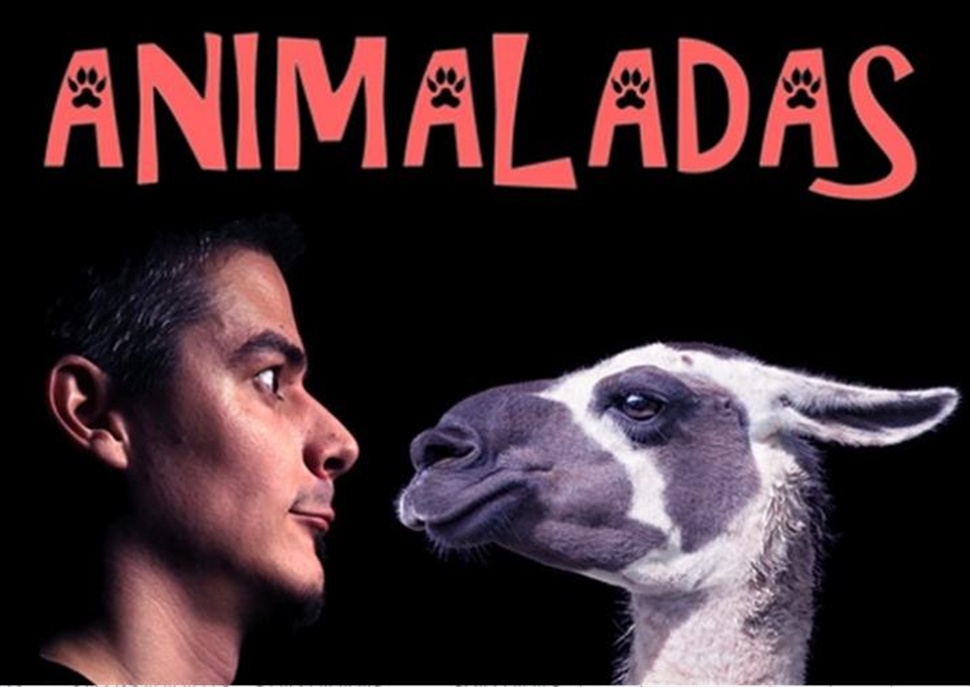 Animaladas · Tian Lara · Black Friday