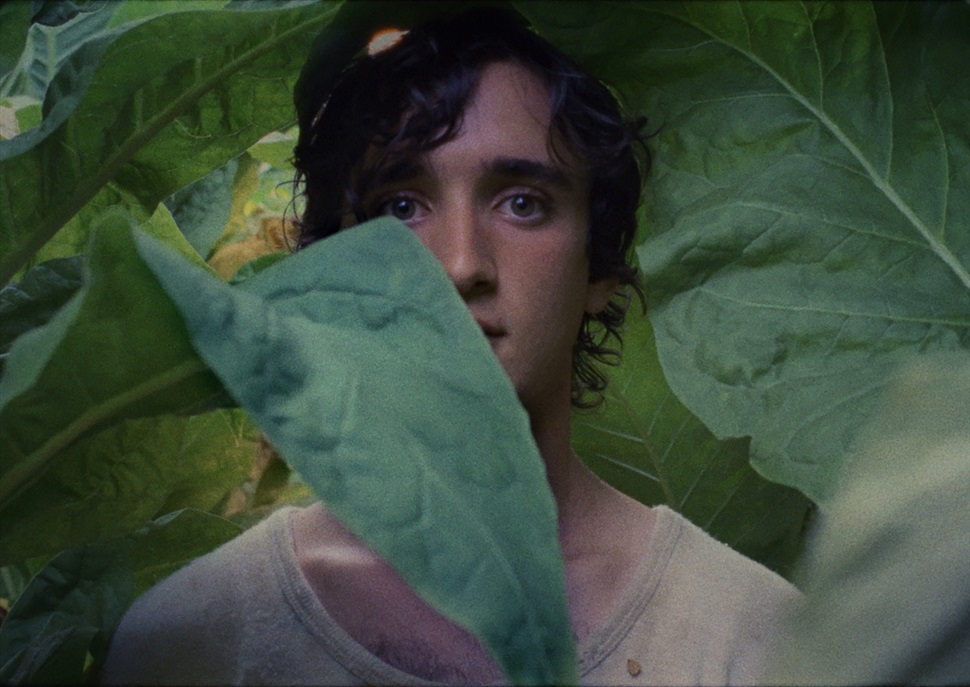 Cinema Boliche: Lazzaro feliz