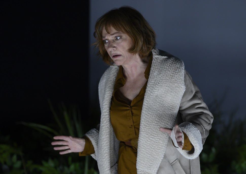 La casa de les aranyes