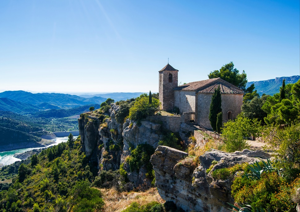Priorat, terra d'oli i vi