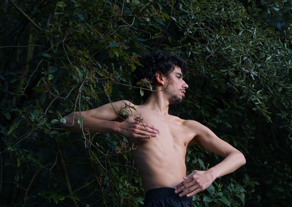 Faune, de Pol Jiménez