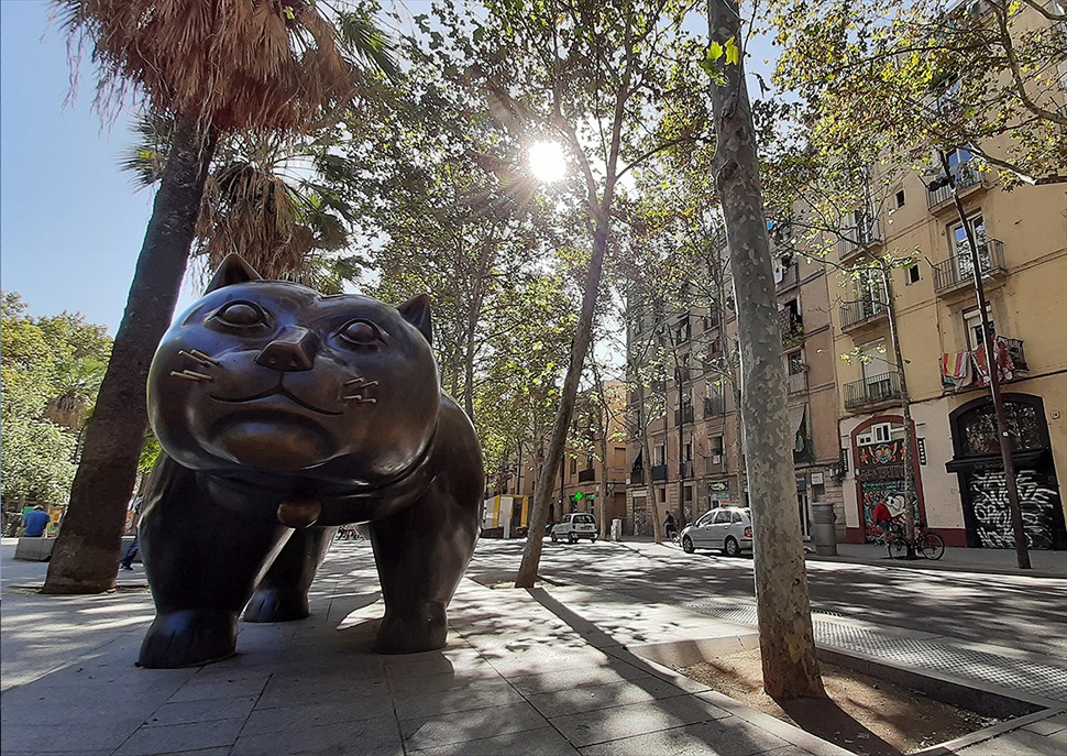 Cultruta: Raval, secrets i llegendes