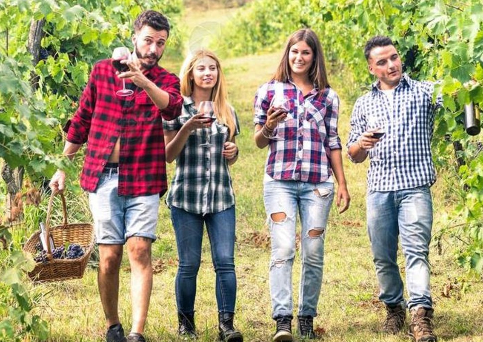 Esmorzar de pagès entre vinyes i taller de verema regenerativa