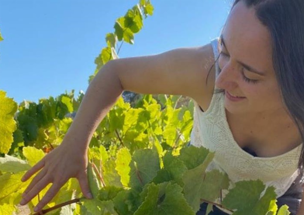 Tast de varietats amb Marta Clot i esmorzar de verema