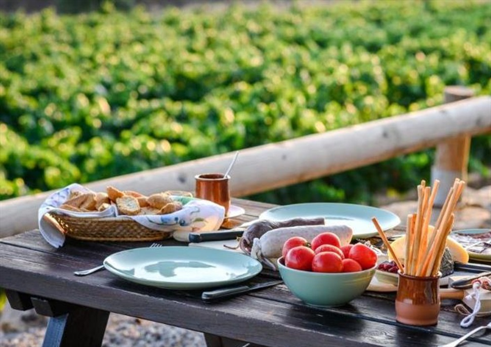 Tast de mostos de la verema i brunch amb vistes