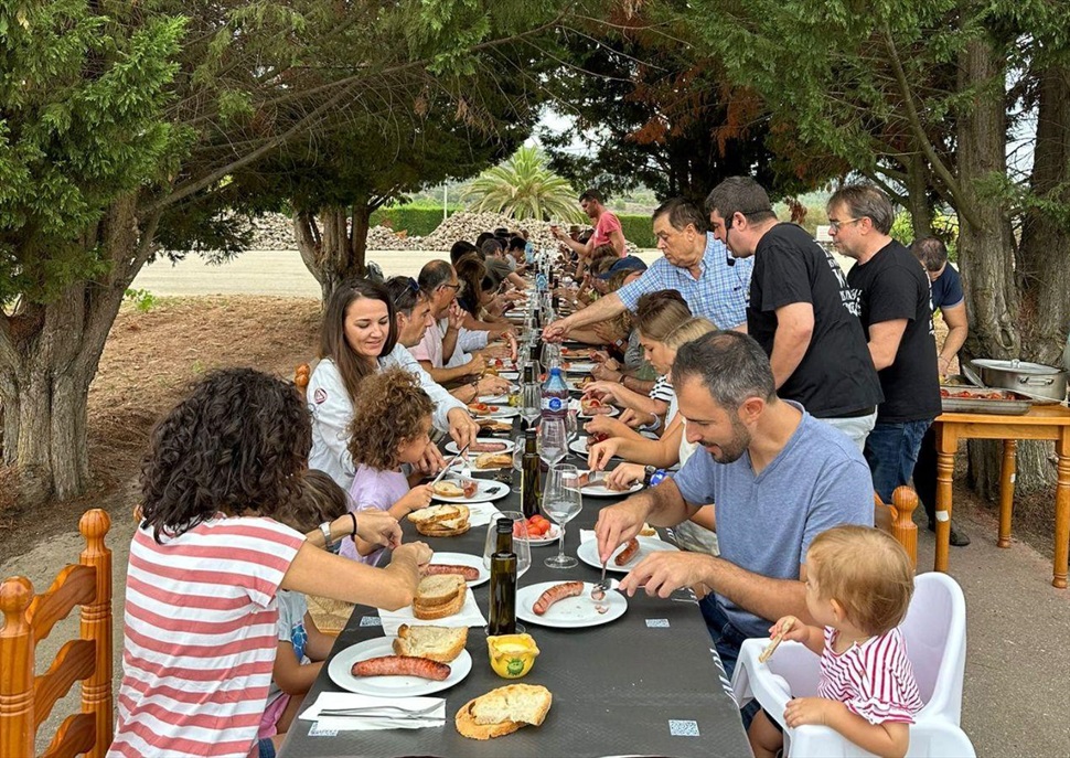 Esmorzar de pagès entre vinyes i taller de verema regenerativa - Verema del cava 2024