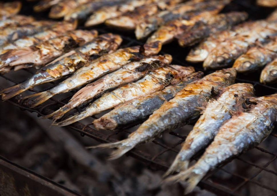 La sardinada de verema: del mar a la vinya - Verema del cava 2024