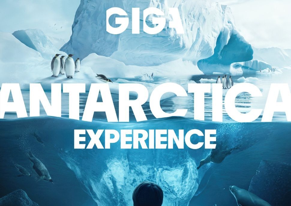 Antarctica Experience