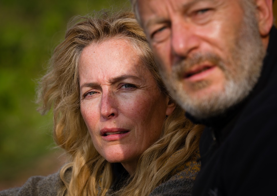 El sendero de la sal