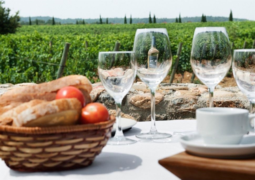 Esmorzar entre vinyes al Celler La Vinyeta