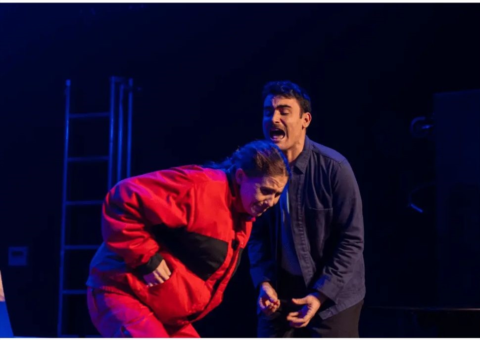 Polles, polles, polles