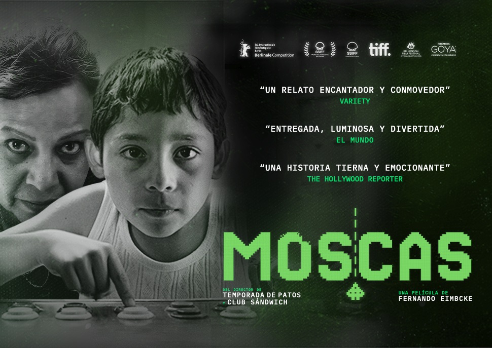 Moscas